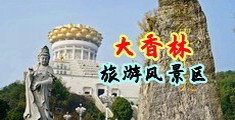 啊骚逼要鸡巴视频中国浙江-绍兴大香林旅游风景区